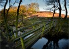 1 Bridge at Padley.jpg